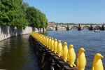 PICTURES/Prague - Kampa Island/t_Penguins8.JPG